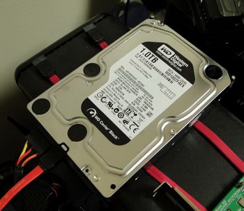 WD1002FAEX bench